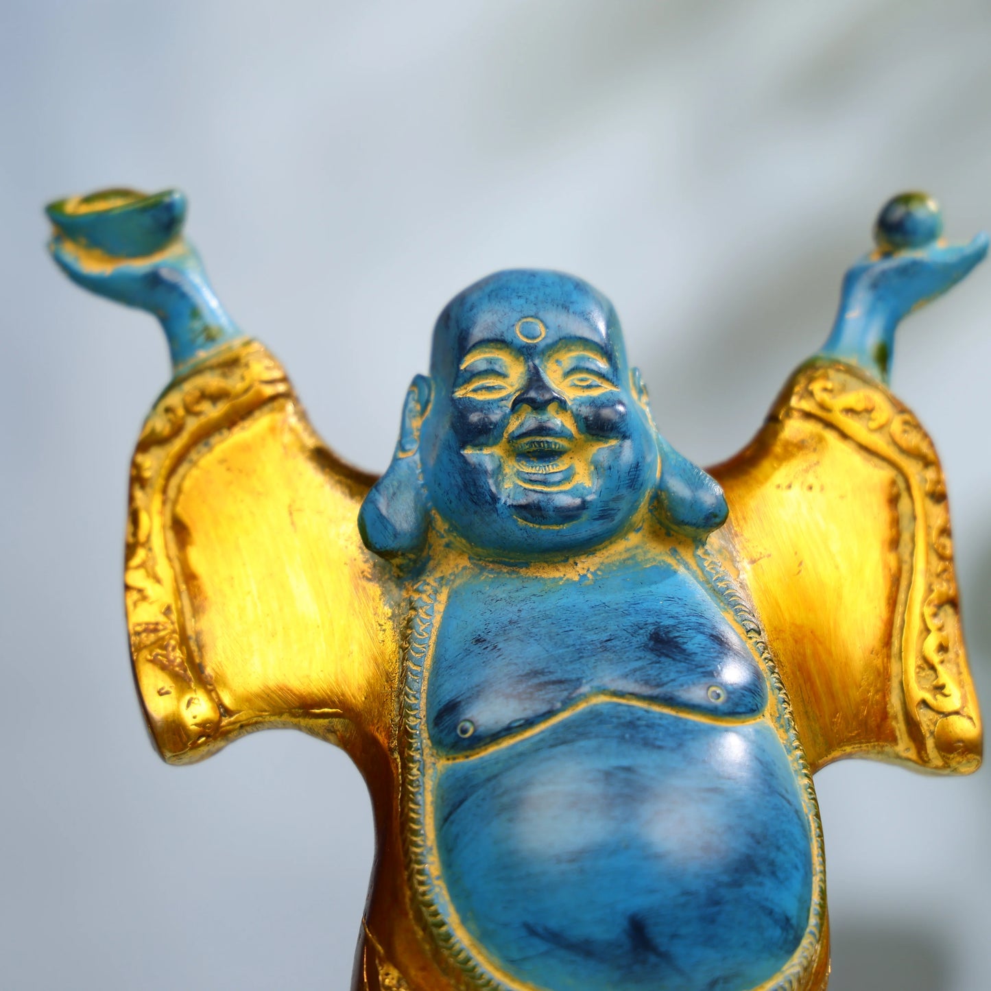 9_Coloured_Brass_Laughing_Buddha_Standing_on_Tortoise_Idol_5.