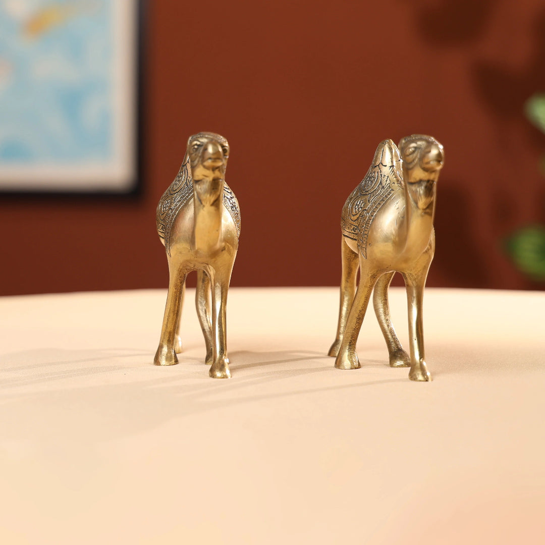 Brass Camel Family 2