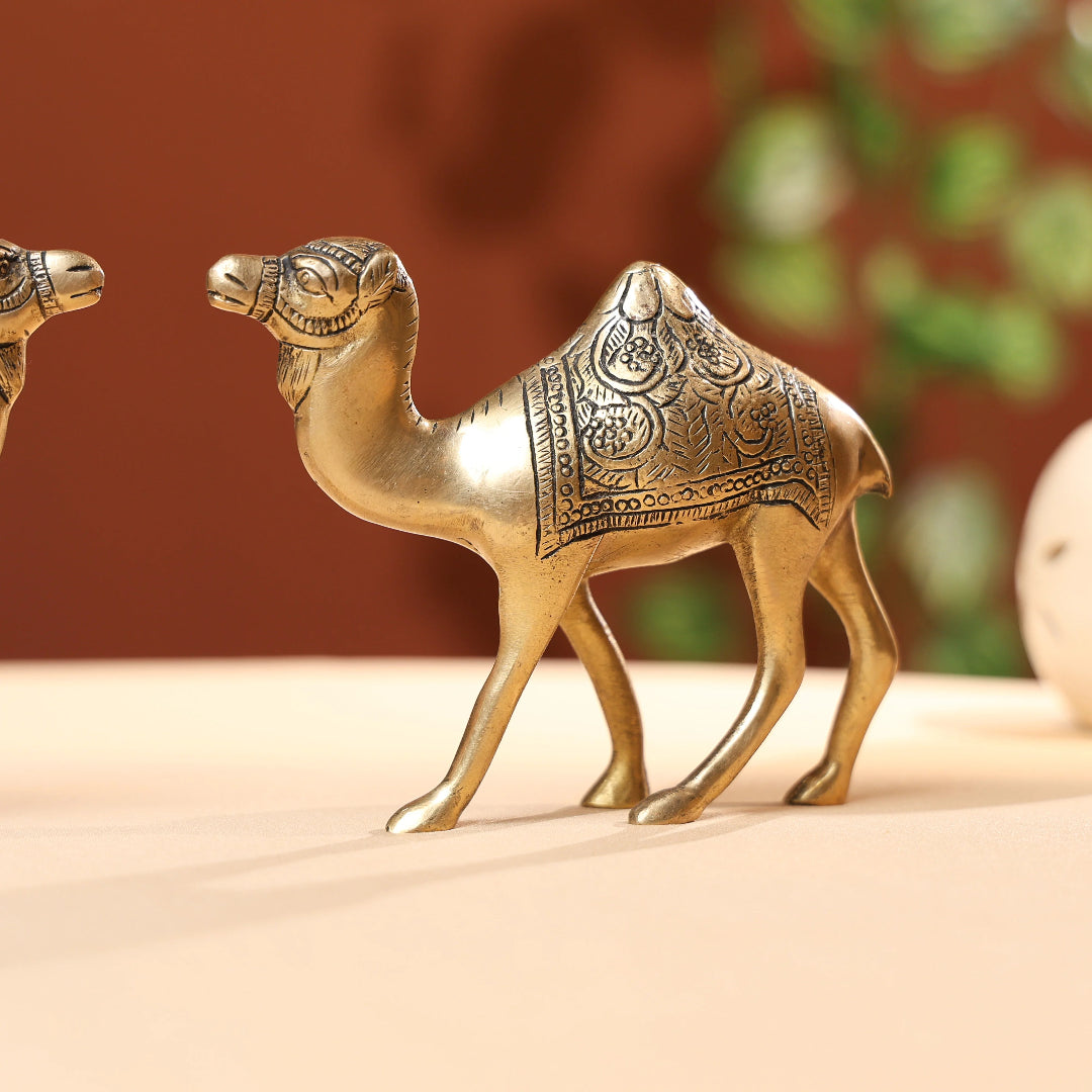 Brass Camel Family 3