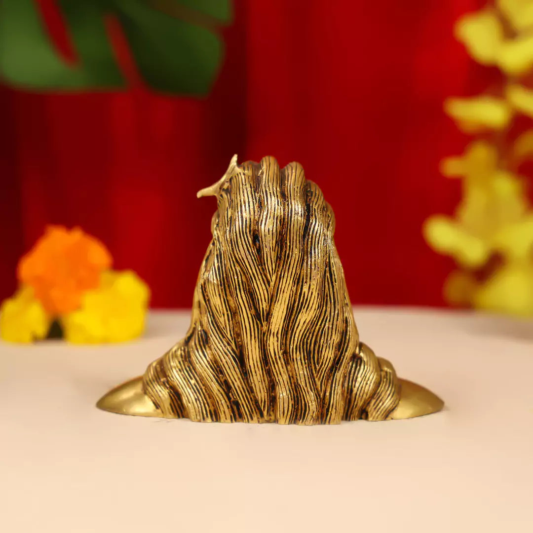 Brass Lord Adiyogi Shiva Bust W/O Base_2