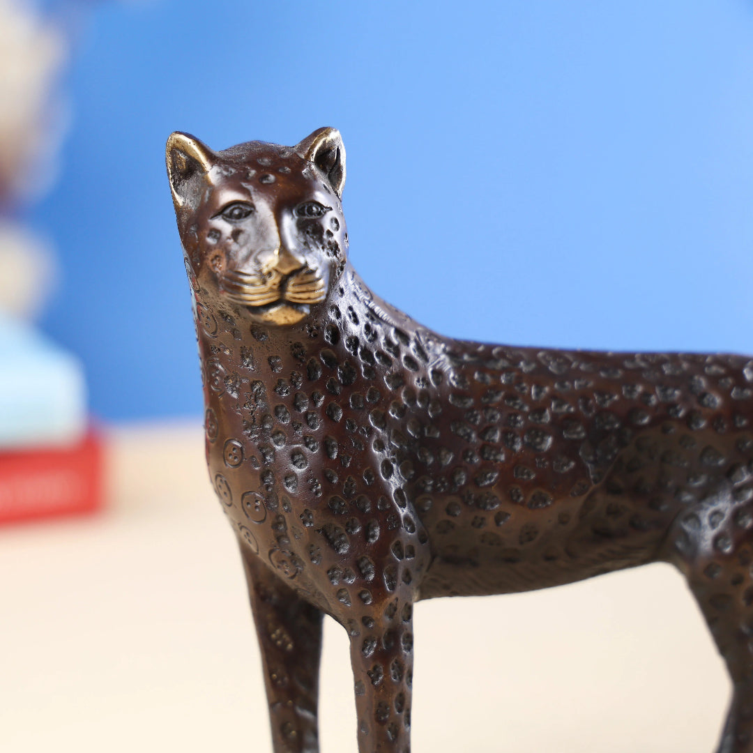 Brown_Coloured_Jaguar_2